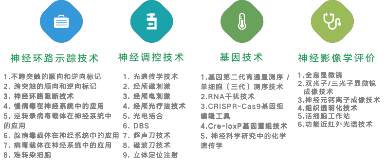 技术讲座.png